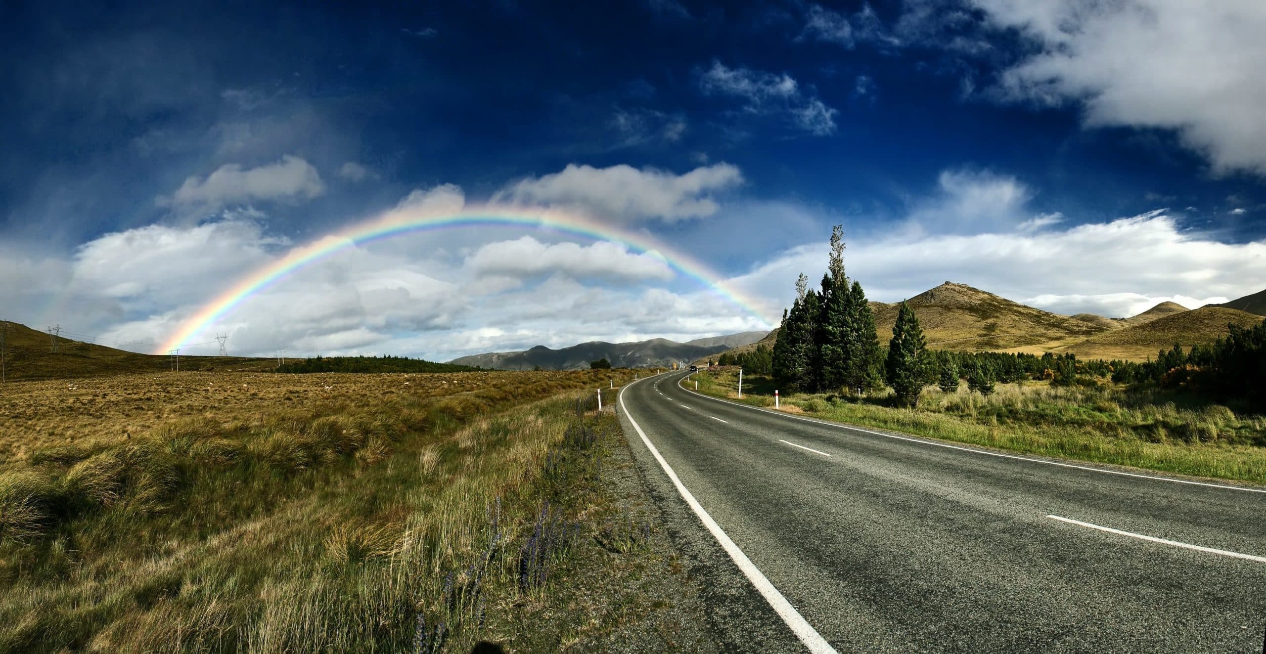 Financial Forecasting for SMEs: How to Predict Revenue in Uncertain Times